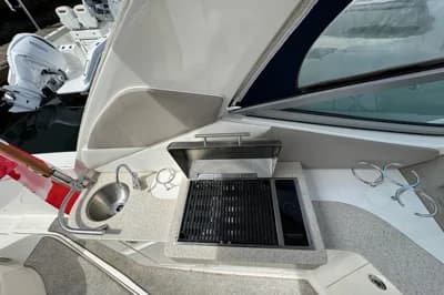 Sea Ray Sundancer 310 3