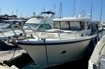 Sargo 36 2