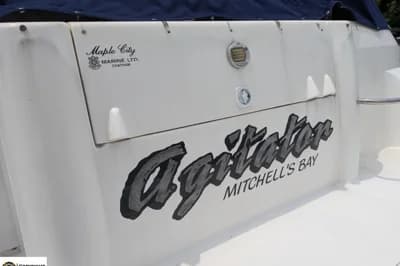 Cruisers Yachts 3075 Express 3