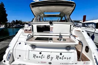 Sea Ray Sundancer 350 Coupe 2