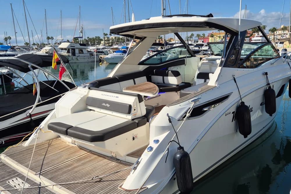 Sea Ray Sundancer 320