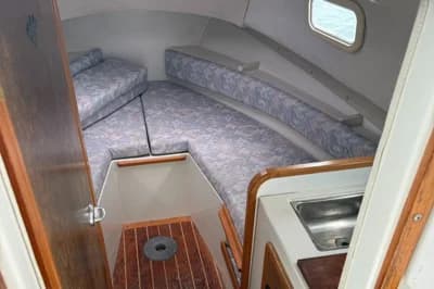 Orkney Orkadian 20 3