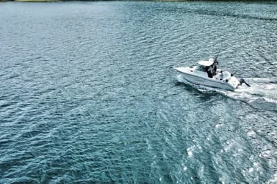 Seaswirl Striper 2601 Walkaround I/O 2