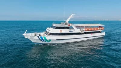 Custom Passenger Ferry 2