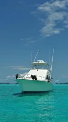 Ocean 43 Super Sport 2