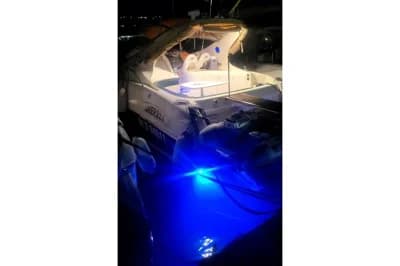 Salpa Laver 32.5 2