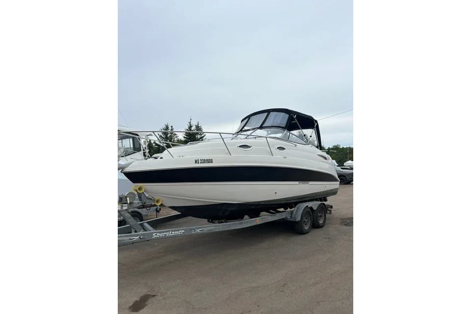 Stingray 250 CS