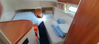 Fiart 40 Genius 3