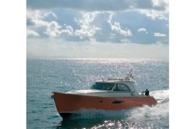 Mochi Craft 44 Dolphin 3