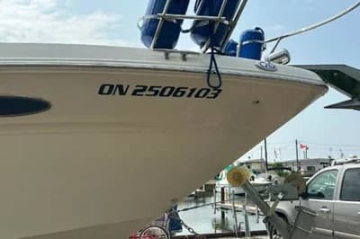 Sea Ray 290 Sundancer 2