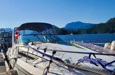 Chaparral 290 Signature 3