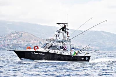 Rampage 31 Sportfish 2