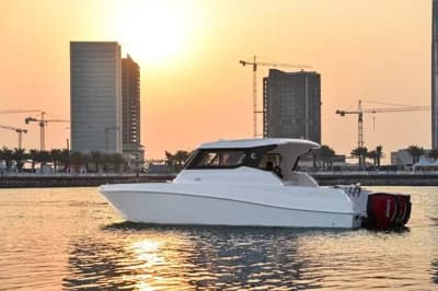 Silvercraft 31 HT 2