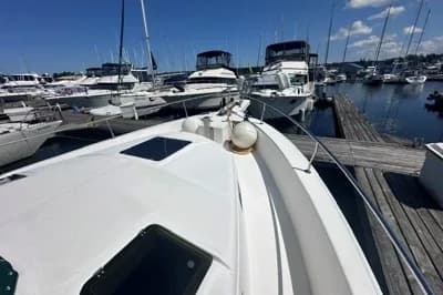 Mainship 390 Trawler 3