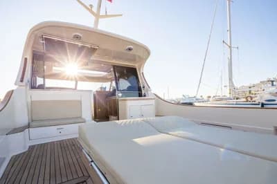 Mochi Craft 51 Dolphin 2