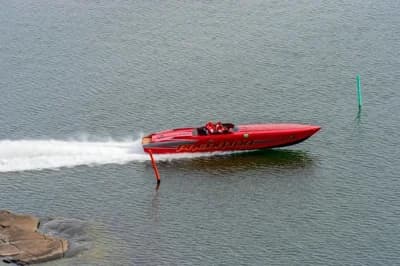 Predator 447 2