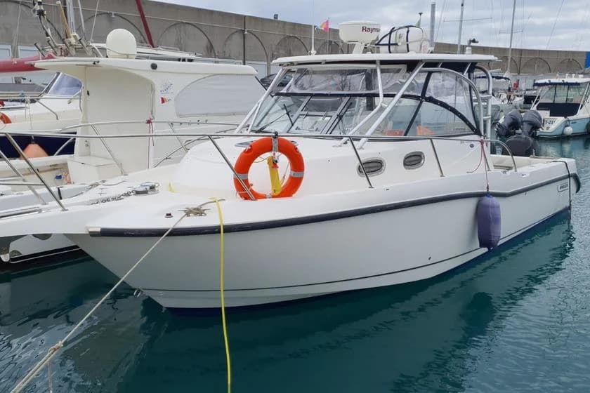 Boston Whaler 305 Conquest