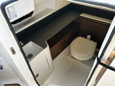 Sea Ray 290 Sundeck 3