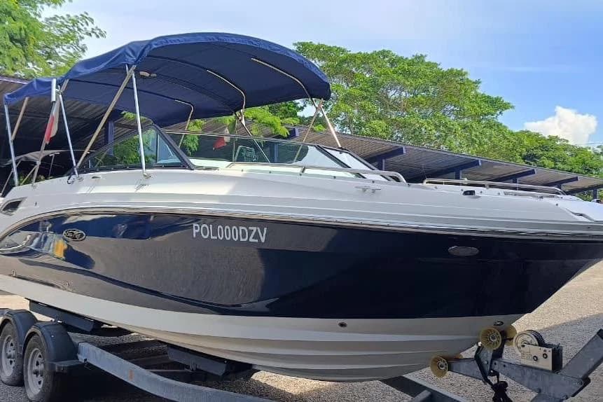 Sea Ray SDX 250