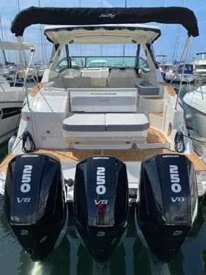Sea Ray Sundancer 320 HB 2