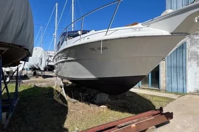 Sea Ray 310 Express Cruiser 2