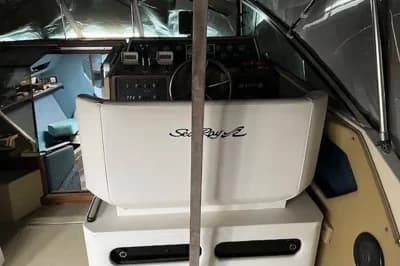 Sea Ray 310 Express Cruiser 3