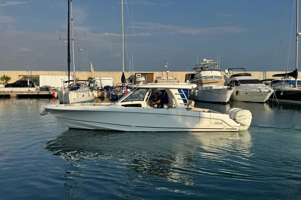 Boston Whaler 350 Realm