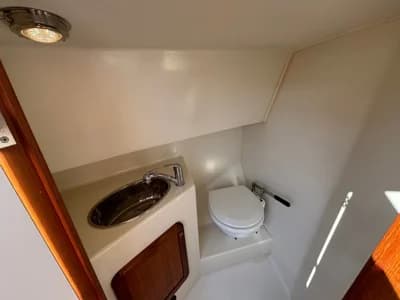 Makma Caribbean 31 3