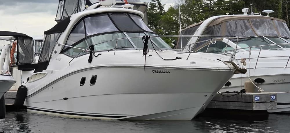 Sea Ray Sundancer 310