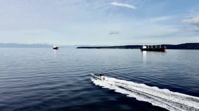 Cruisers Yachts 340 Express 2
