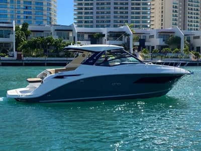 Sea Ray Sundancer 320 2