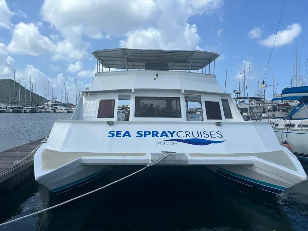 Custom Offshore Passenger Power Catamaran