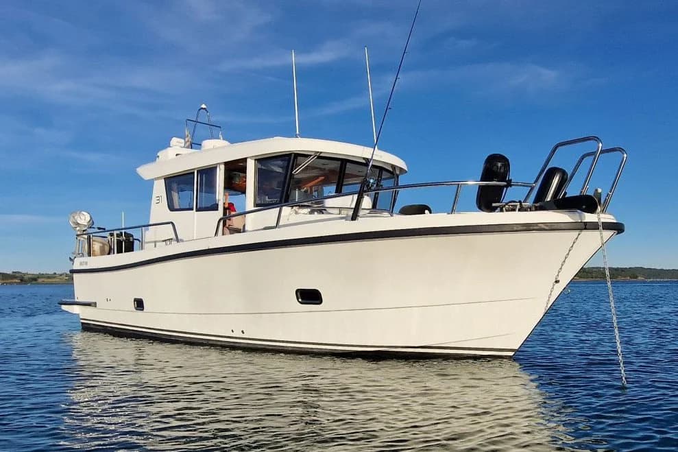 Sargo 31