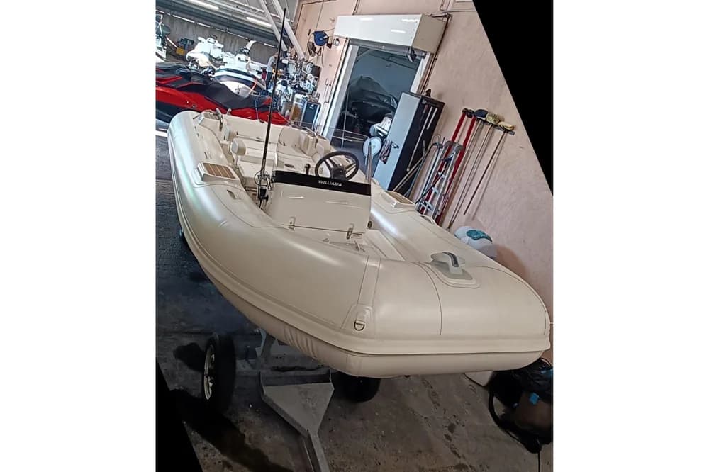 Williams Jet Tenders Dieseljet 445