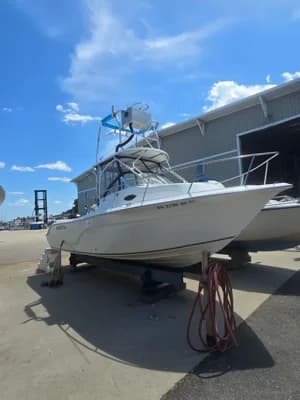 Sea Fox 236 Walk Around 2