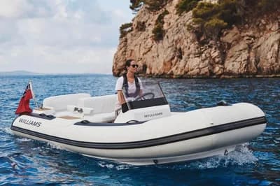 Williams Jet Tenders Dieseljet 445 2