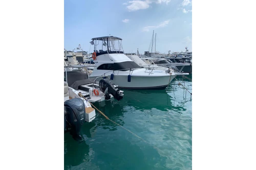 Luhrs 32
