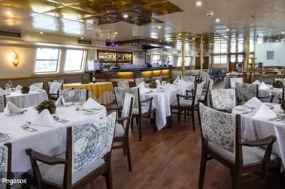 Custom Catamaran Cruise Ship 3