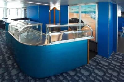 Custom Fast Passenger Ferry 3