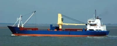 Custom 272' Geared RoRo Pallet Vessel 2
