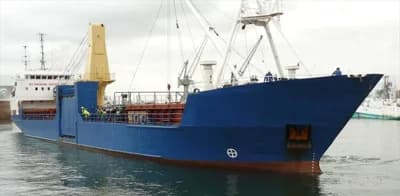 Custom 272' Geared RoRo Pallet Vessel 3
