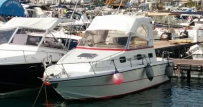 Deltamar REGG 25 2