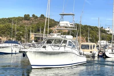 Luhrs 41 Open 2