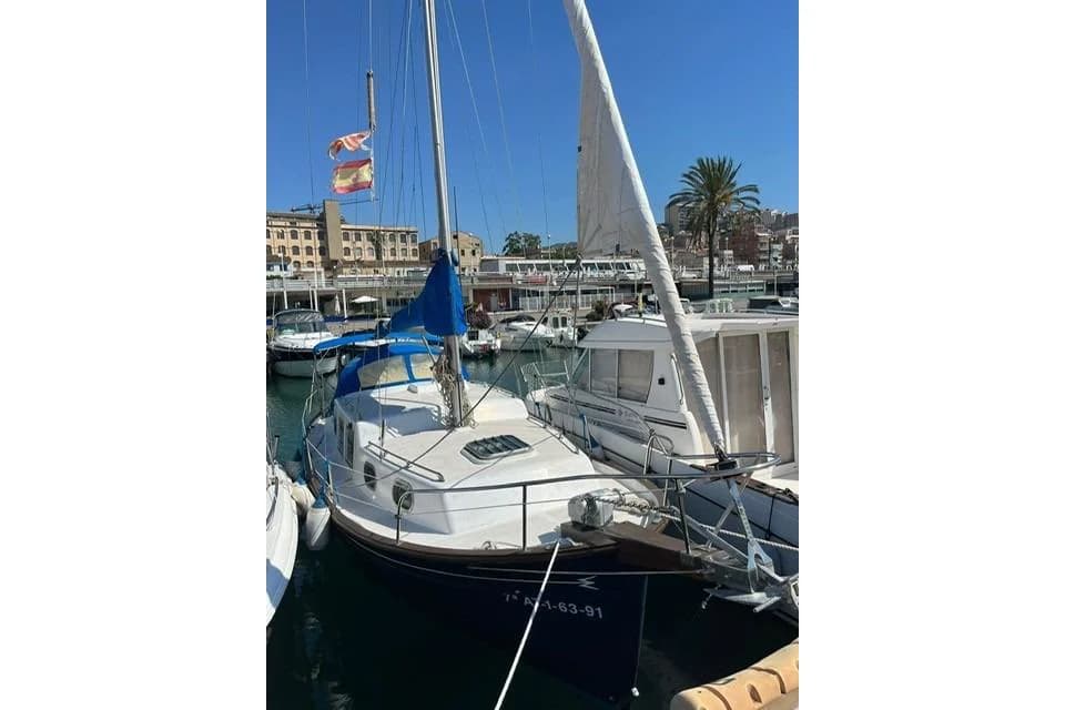 Menorquin Myabca Delfin 28