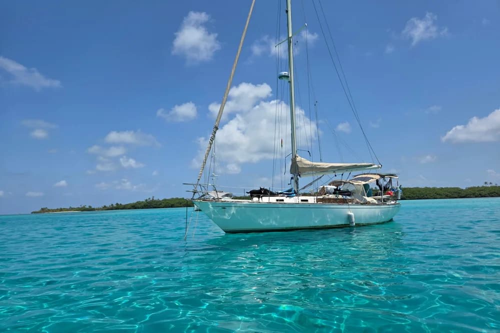Tartan 37