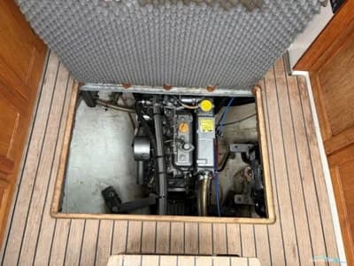 Venus 31 3