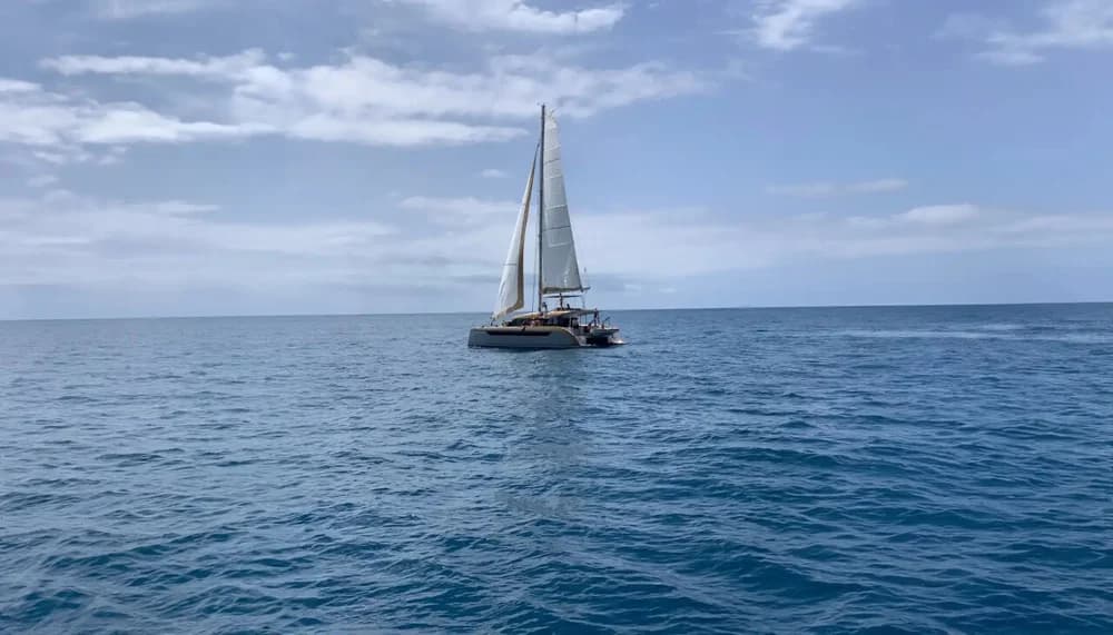 Luna Catamarans 49 Gold