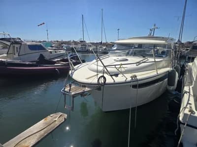 2023 Marex 310 Sun Cruiser 2