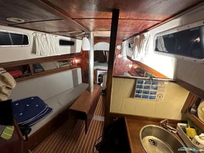 Compass 31 3