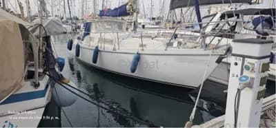 Amel EUROS 41 2